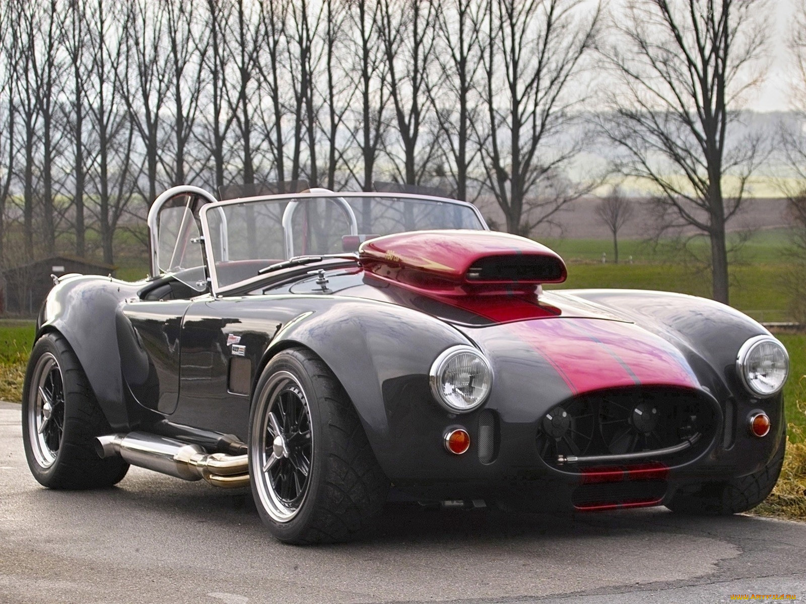 Shelby Cobra 2021 Purple